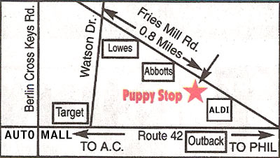 the Puppy Stop, Turnersville, NJ