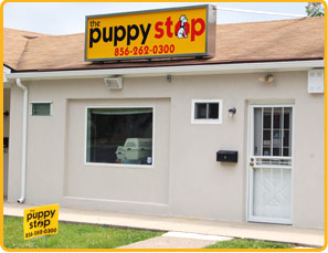 Stop by and see our happy puppies